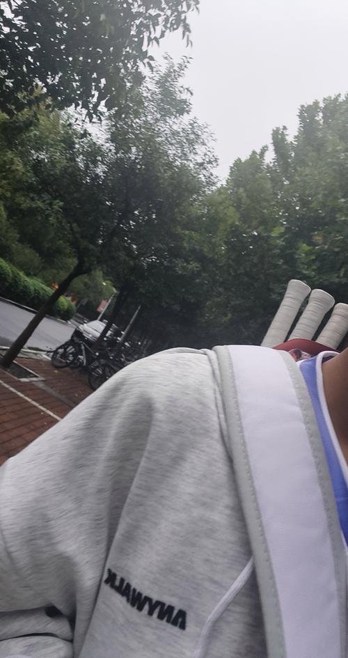 哈兰德的后