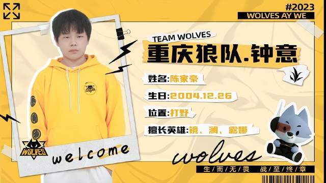 局与持续下